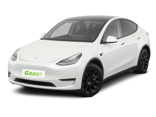 Nauwkeurigheid Slager India Tesla Model Y – Gaaan